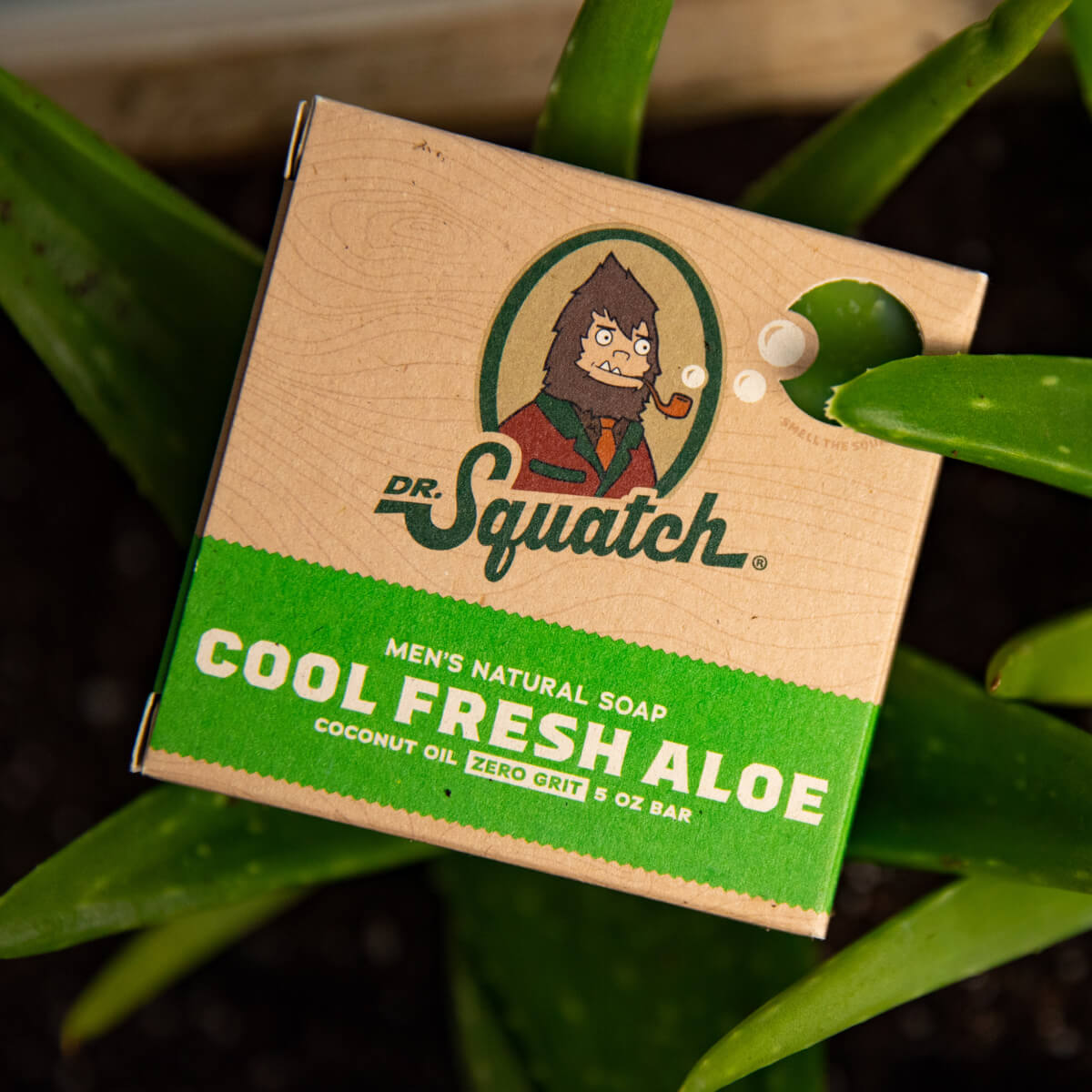 Cool Fresh Aloe