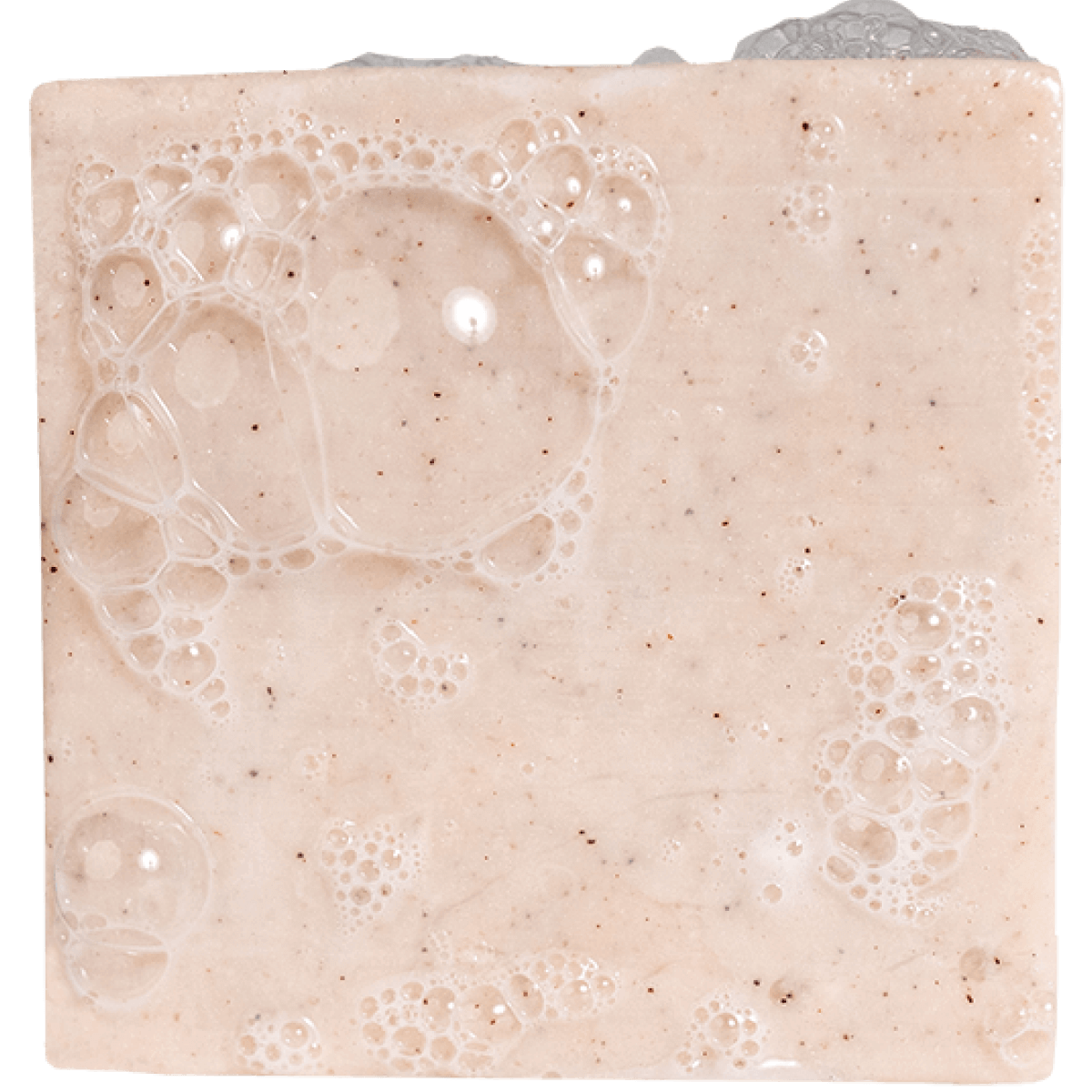 Birch Scents Set