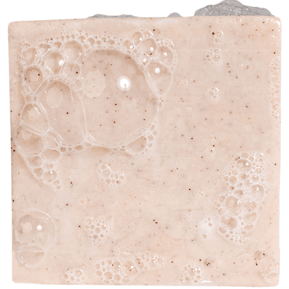 Birch Scents Set