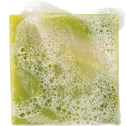 Cool Fresh Aloe