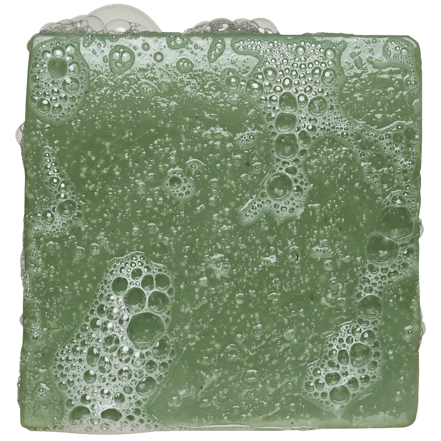 Rainforest Scents Set