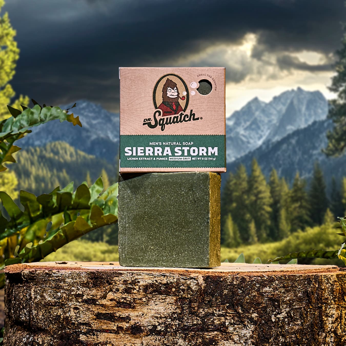 Sierra Storm
